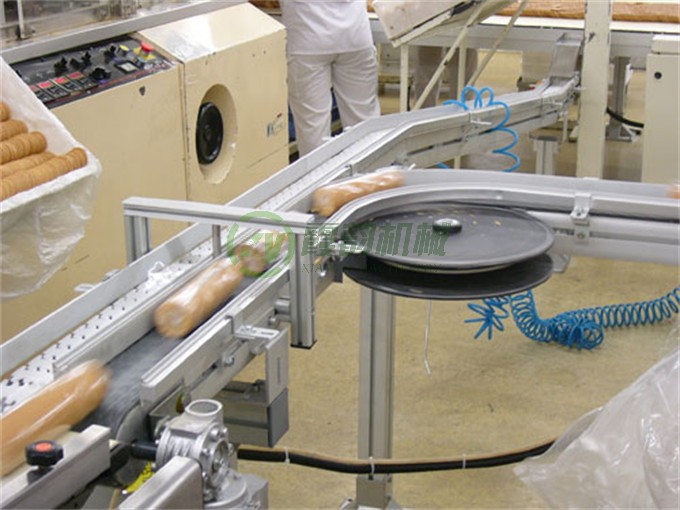 小袋式輸送流水線(xiàn) (4)