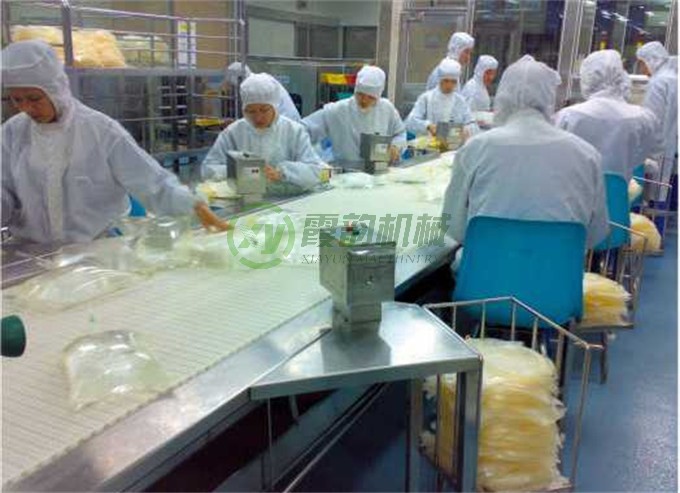 小袋式輸送流水線(xiàn) (5)